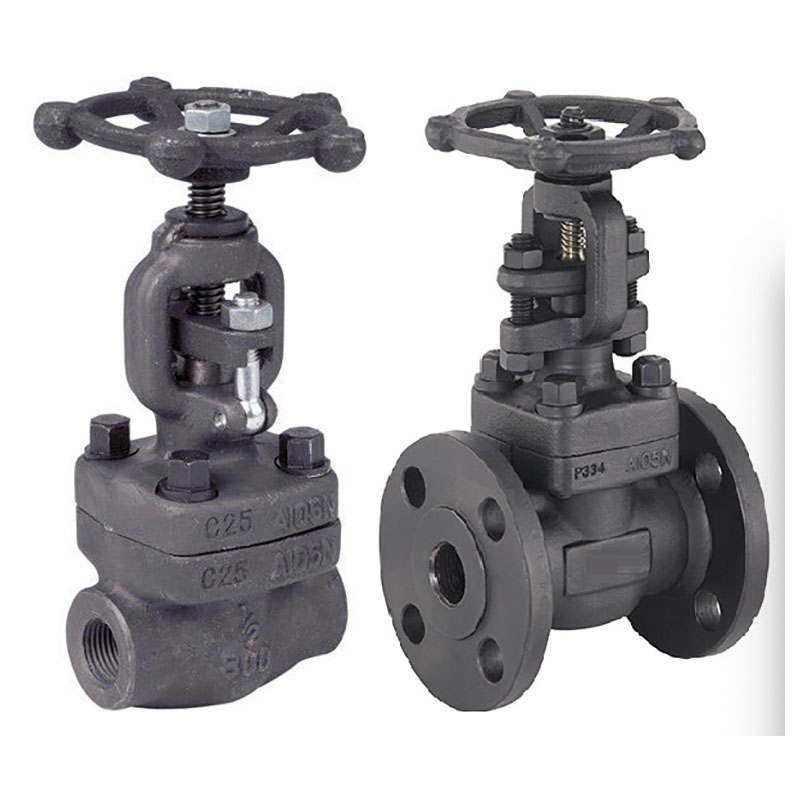 Forged Steel Gate Valve