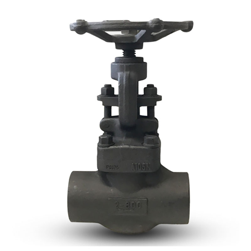 Forged Steel Globe Valve