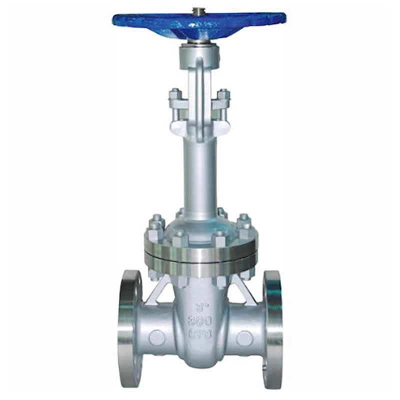 Cryogenic Globe Valve