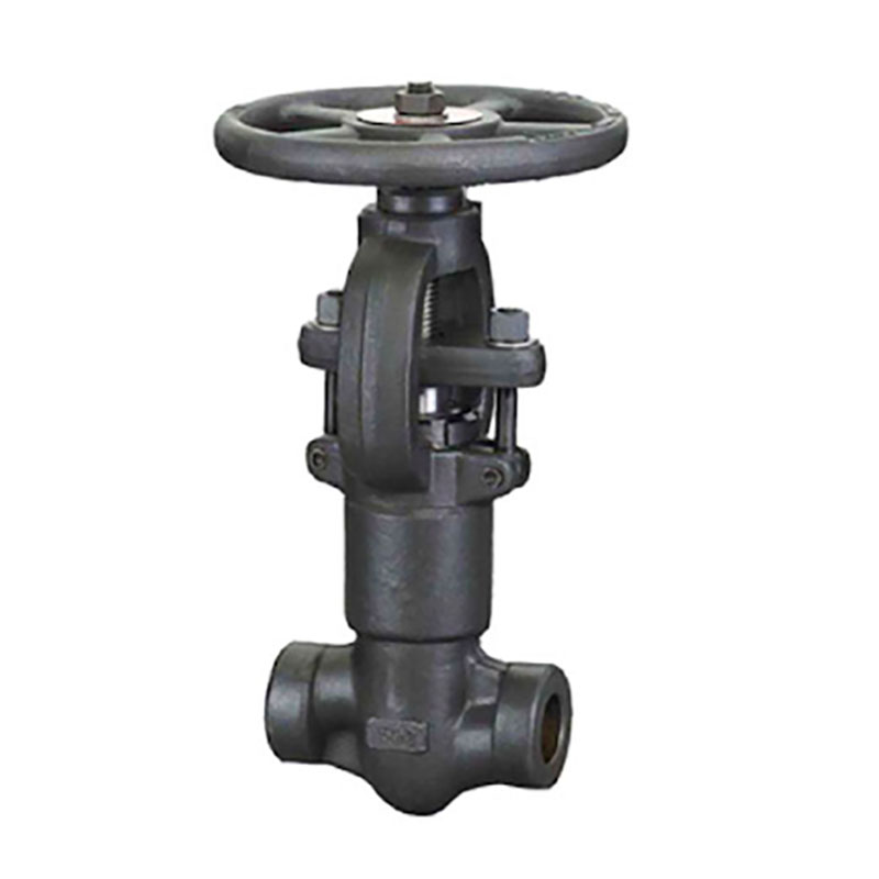 High pressure globe valve