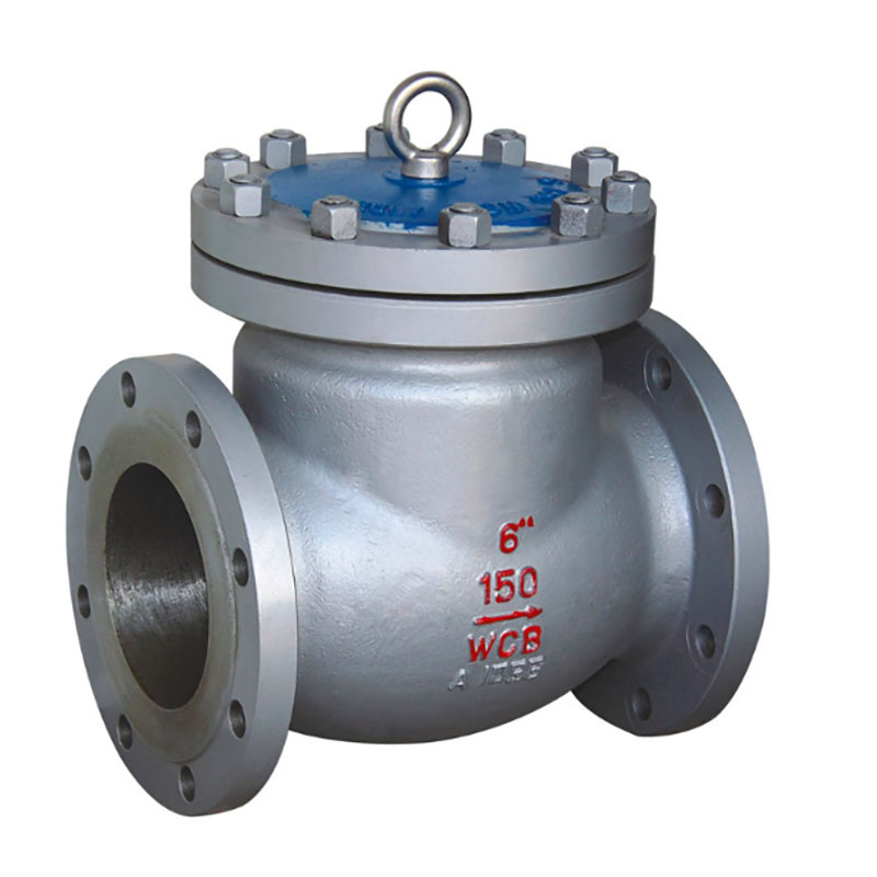 Swing Check Valve