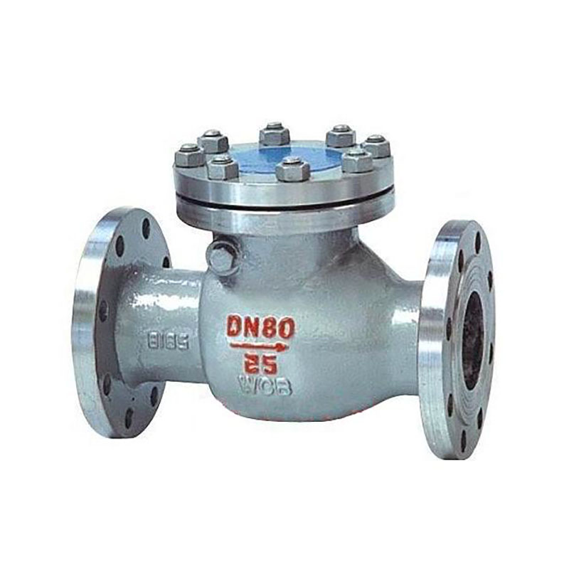 Cast Steel Check Valve