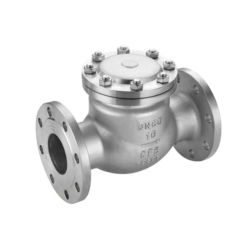 Stainless Steel Check Valve