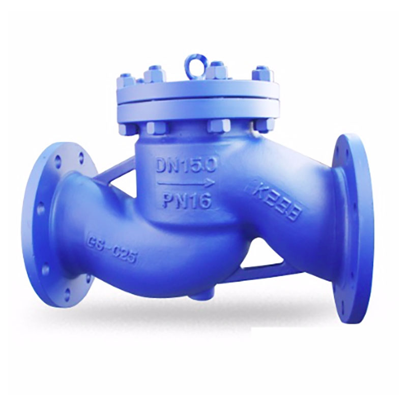 Lift Check Valve