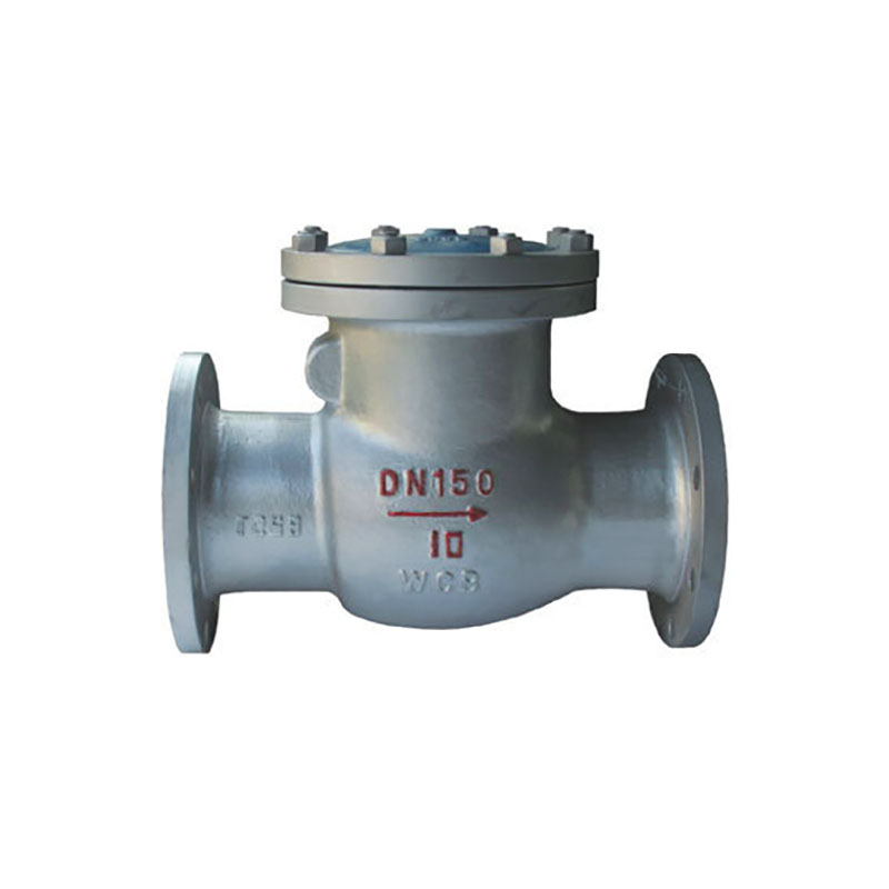 Carbon Steel Check Valve