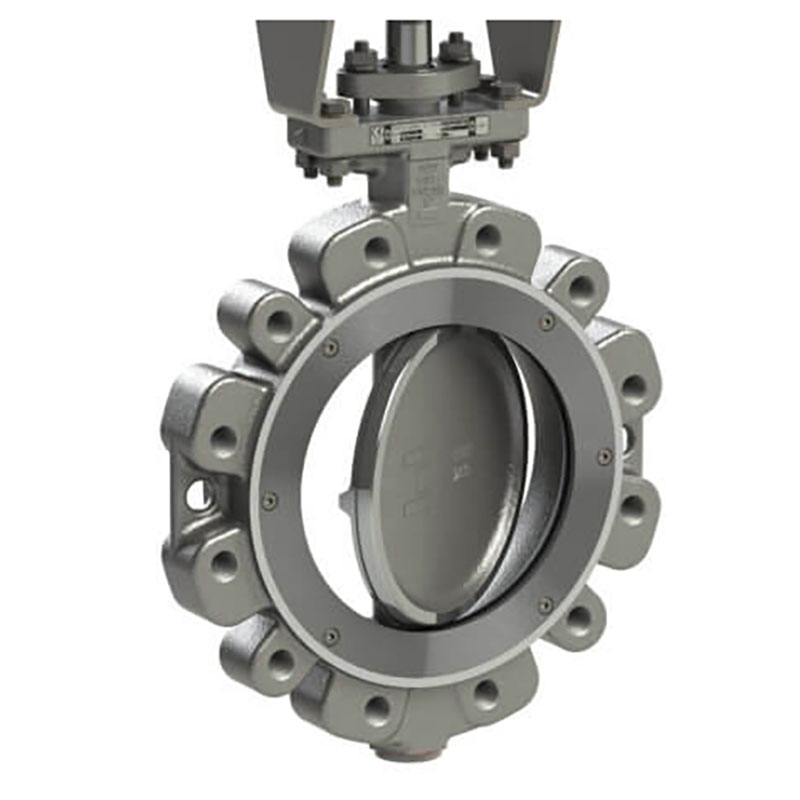 High Performance Butterfly Valve